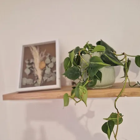 Nest Cathedral In The Heart Of The Apartment