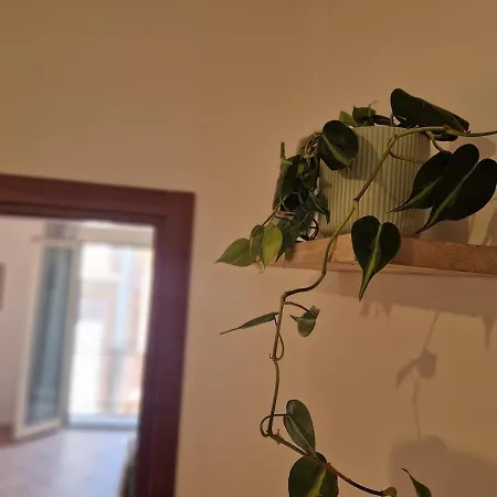 Nest Cathedral In The Heart Of The Apartment *